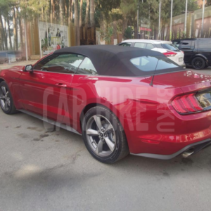 Ford Mustang 2020 / rent a car Baku / аренда авто в Баку / arenda masinlar